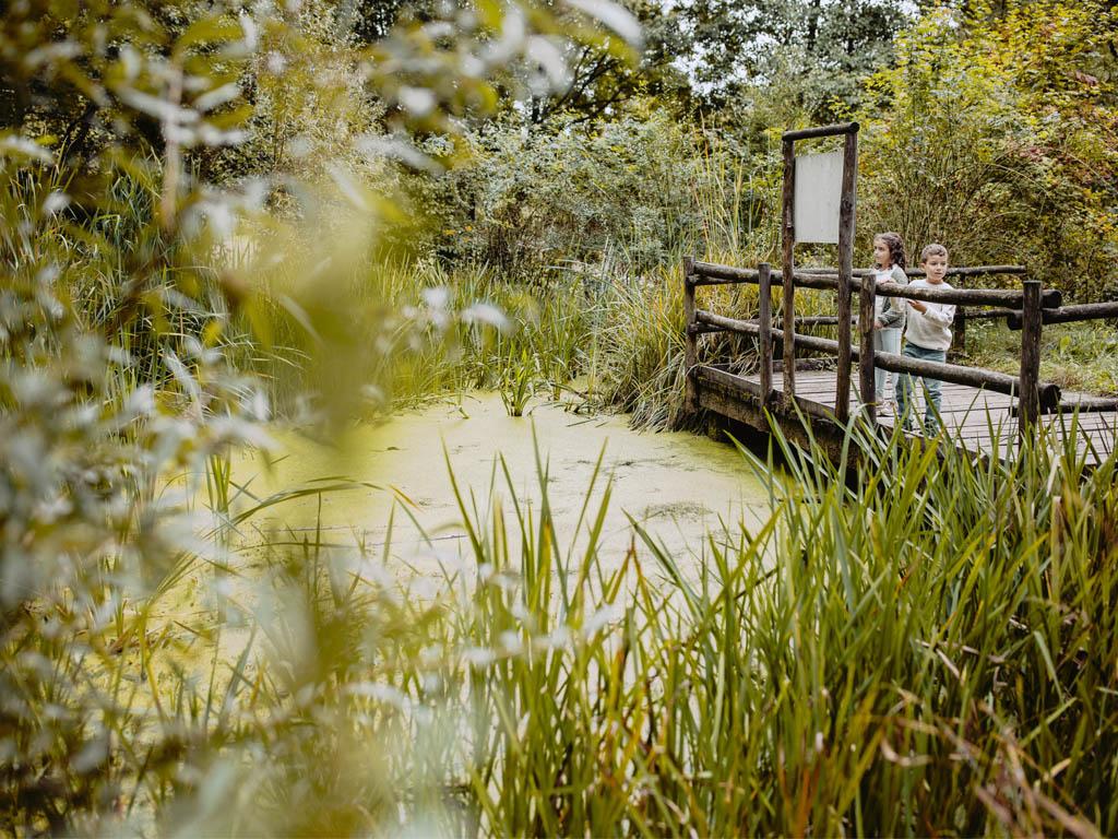 Image 2 - Parco della Valle della Motta 