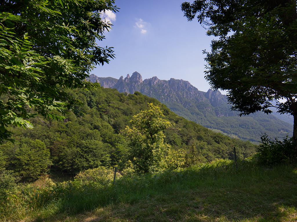Image 3 - Riserva forestale dei Denti della Vecchia