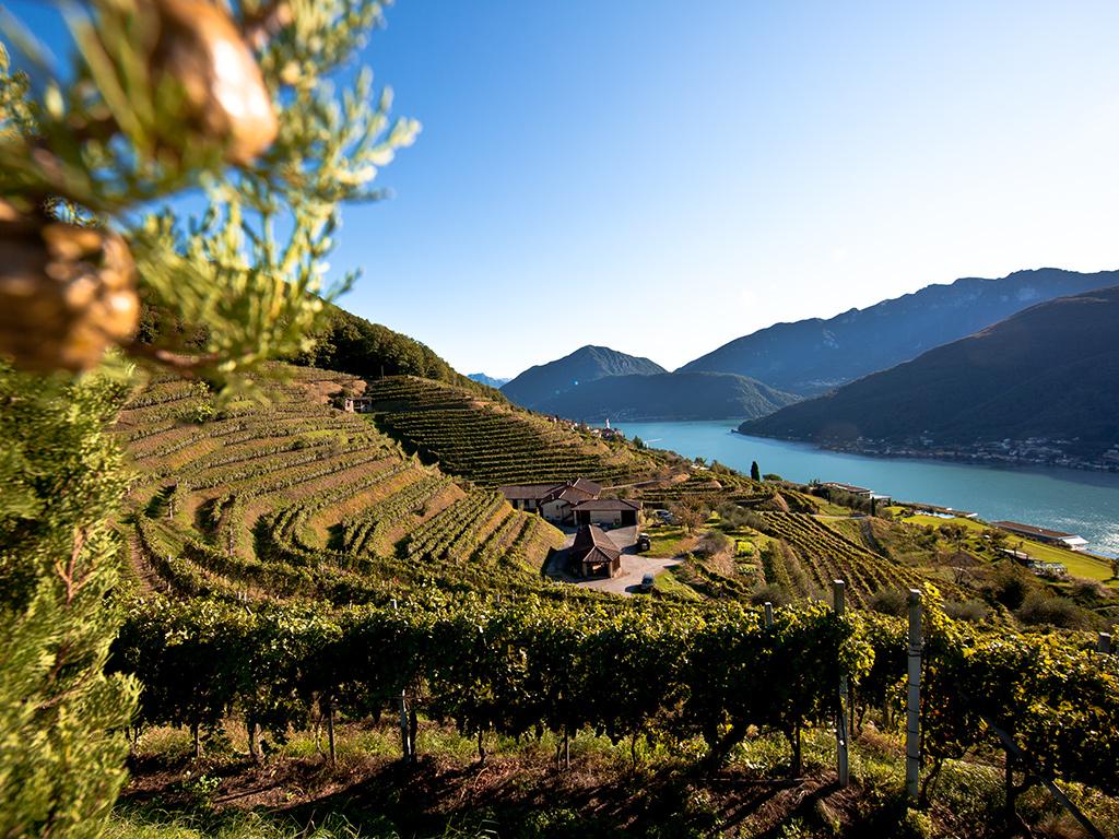 Image 3 - Wein - und Genussreise