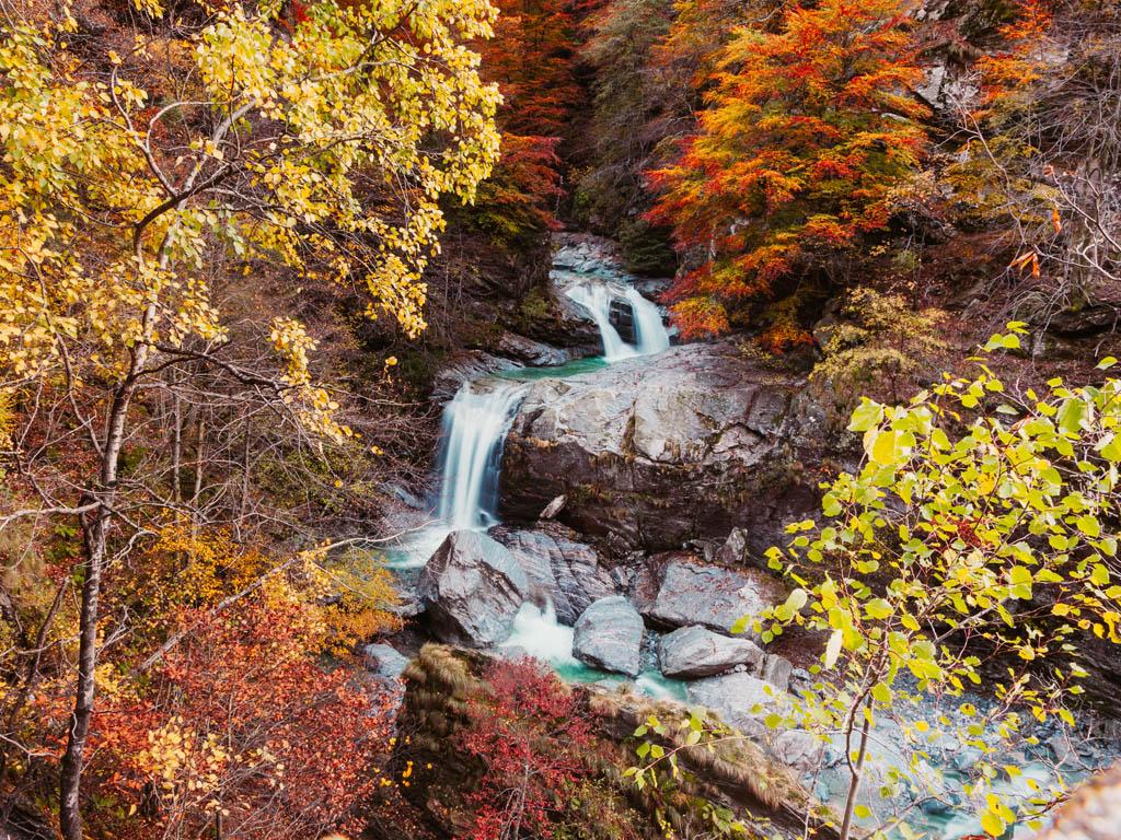 Image 5 - Waldreservat Val Porta