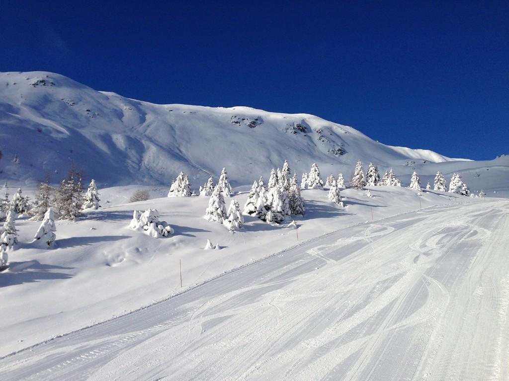 Image 7 - Ski resort Nara