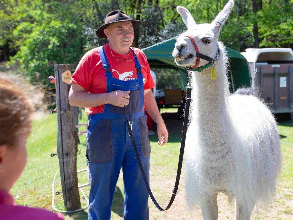 Image 0 - Lama Trekking