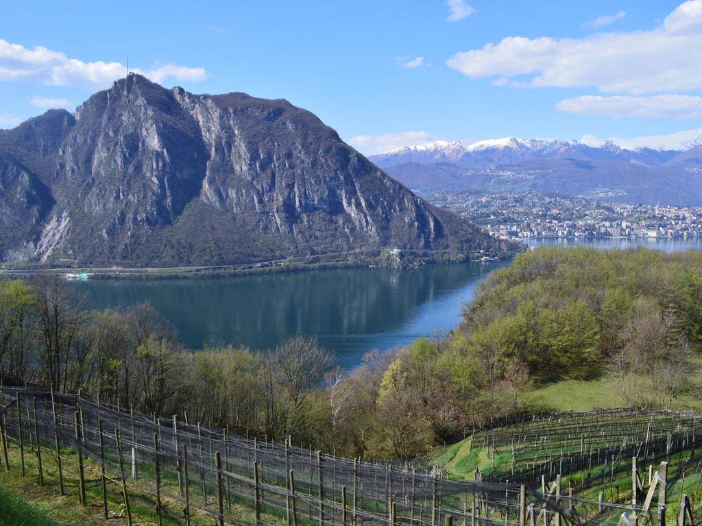 Image 7 - Vini Rovio Ronco SA