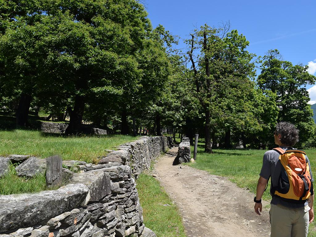 Image 3 - Course d’orientation - parcours permanent à Curzútt