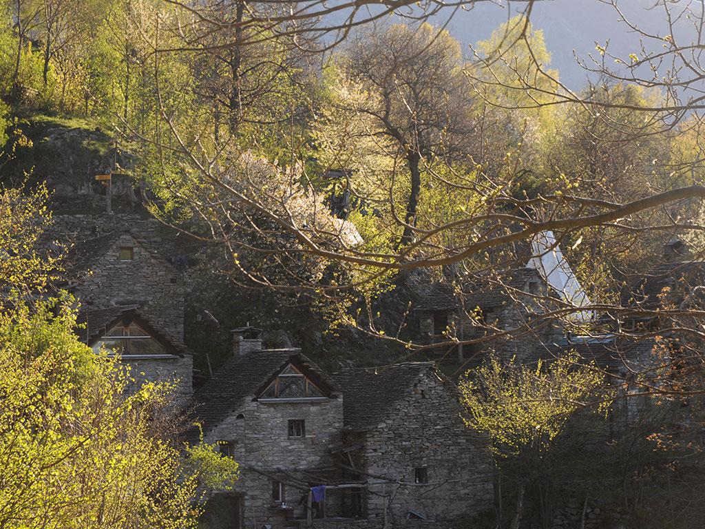 Image 0 - Campo Cortoi - Group accomodation