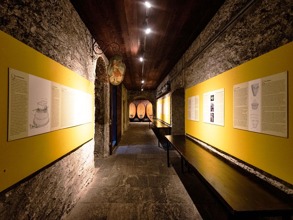 Image 1 - Matasci Vini 