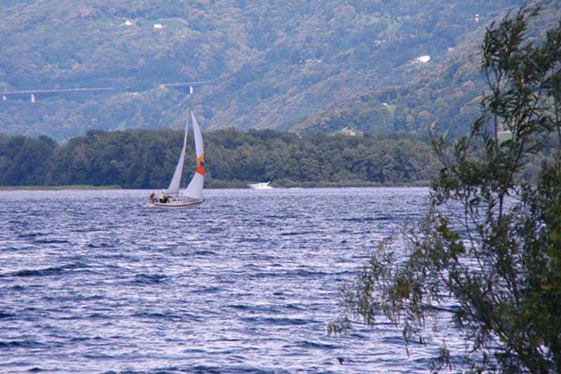 Image 3 - Antares Vela