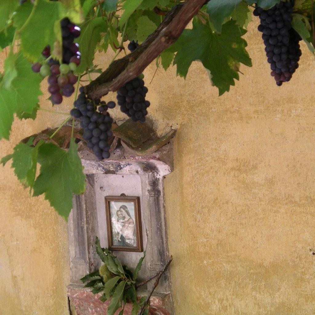 Image 0 - Casa 1659 - Casa Parrucchiere