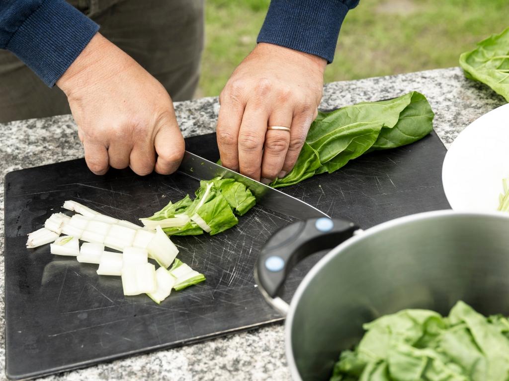 Image 4 - Agriesperienza - Azienda Catibio