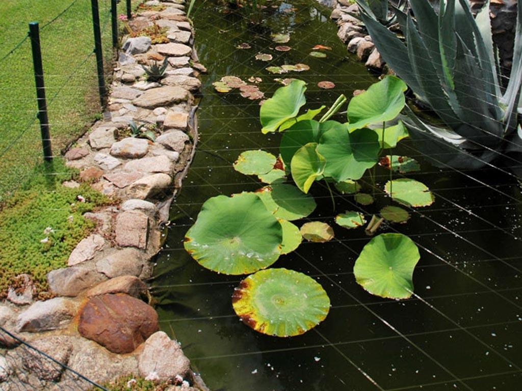 Image 1 - Camping ai Bosconi