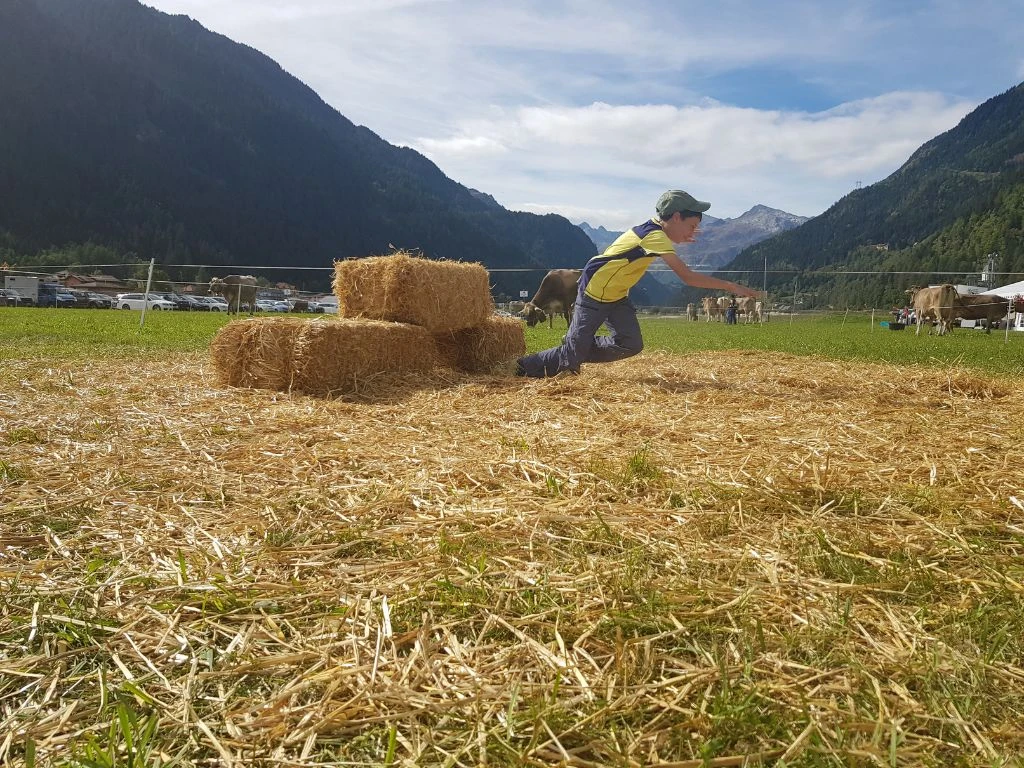 Image 4 - 
