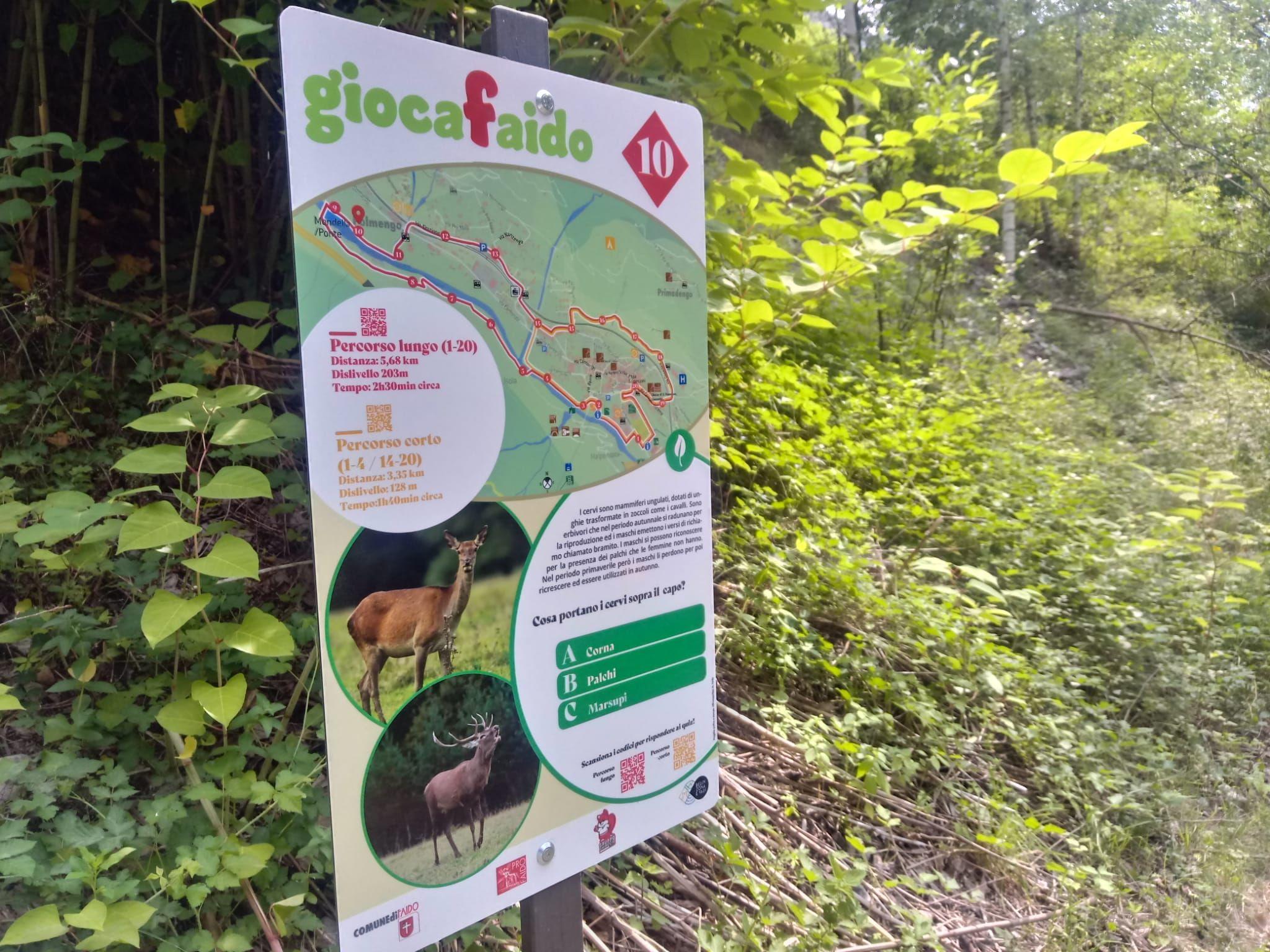 Image 3 - GiocaFaido: esplora il villaggio di Faido giocando!