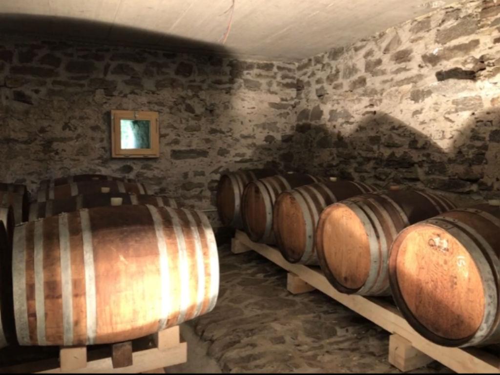 Image 3 - Vini Bettoni - Azienda Viticola Rascana 