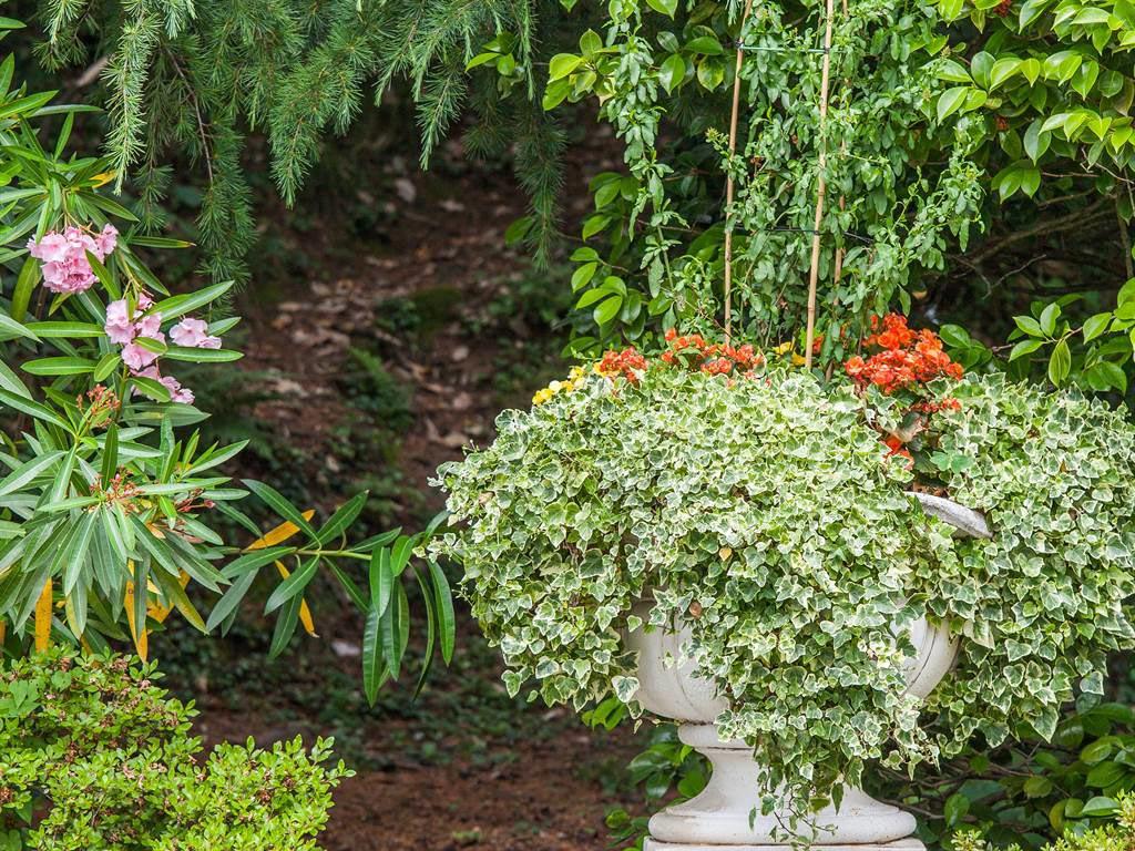 Image 15 - Park Hotel Principe