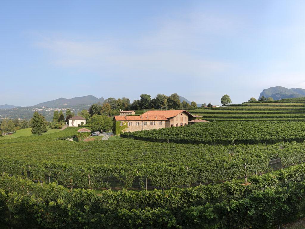 Image 1 - Ticinowine