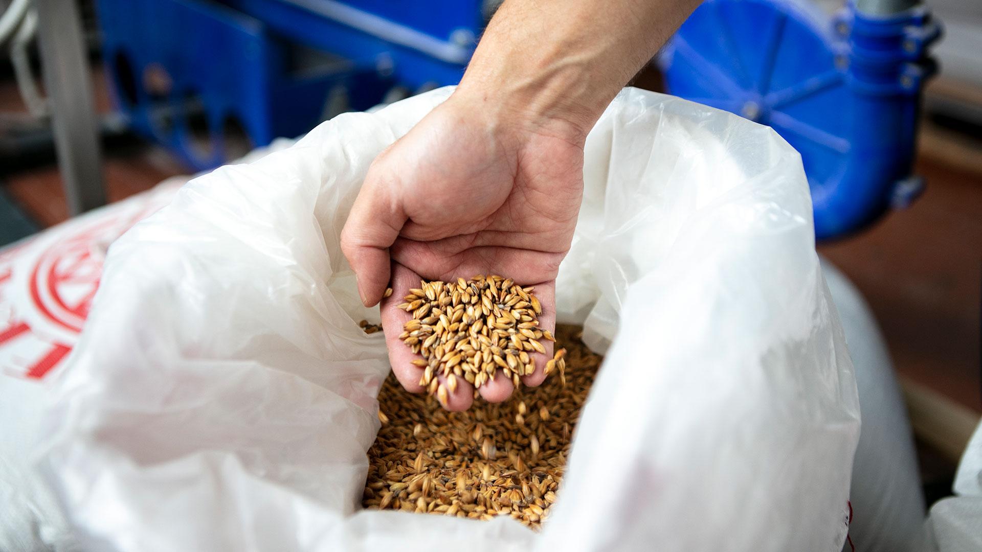 Image 3 - Découvrir la bière au Tessin