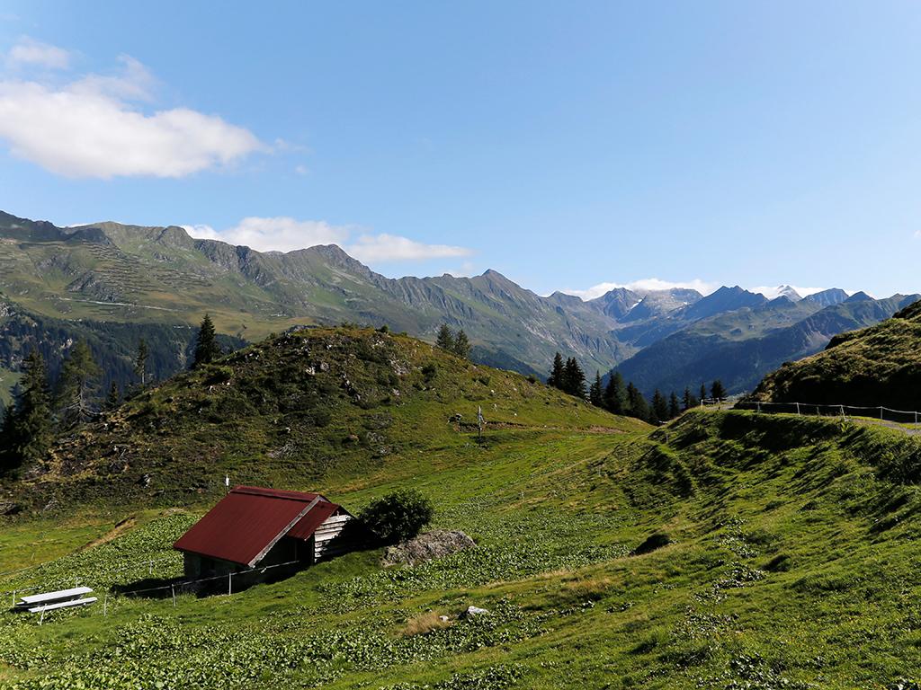 Image 2 - La Ricotta