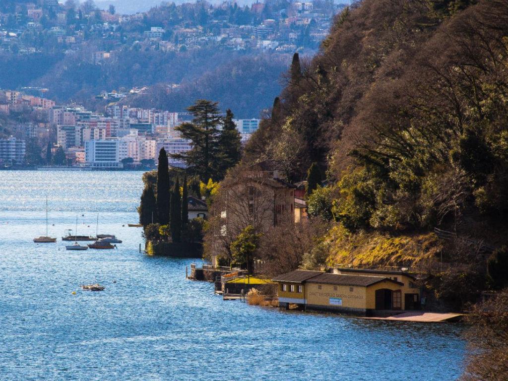 Image 2 - Walking along the Olive Trail of Gandria