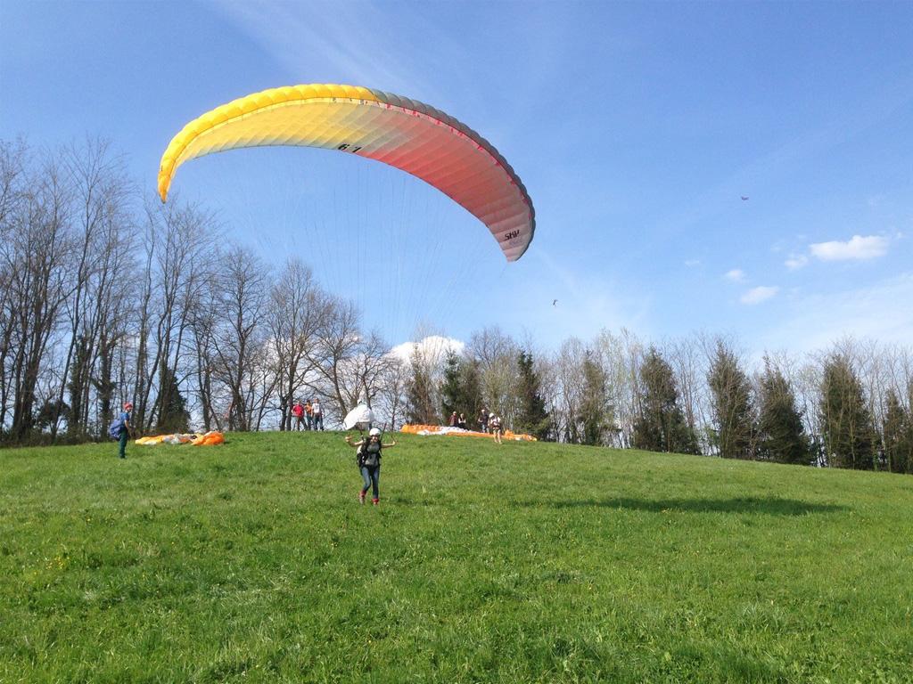 Image 2 - Pink Baron SA