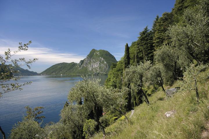 Image 4 - Parco degli ulivi