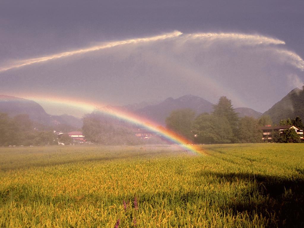 Image 1 - Birra da Ris