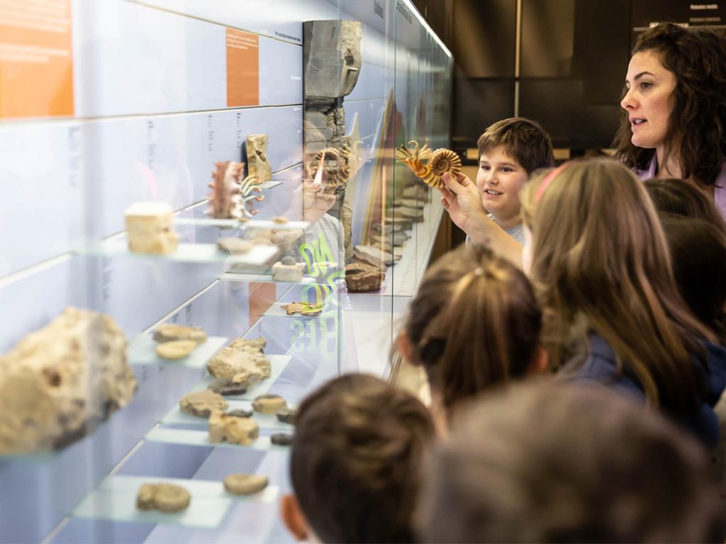 Image 1 - Fossilienmuseum Monte San Giorgio