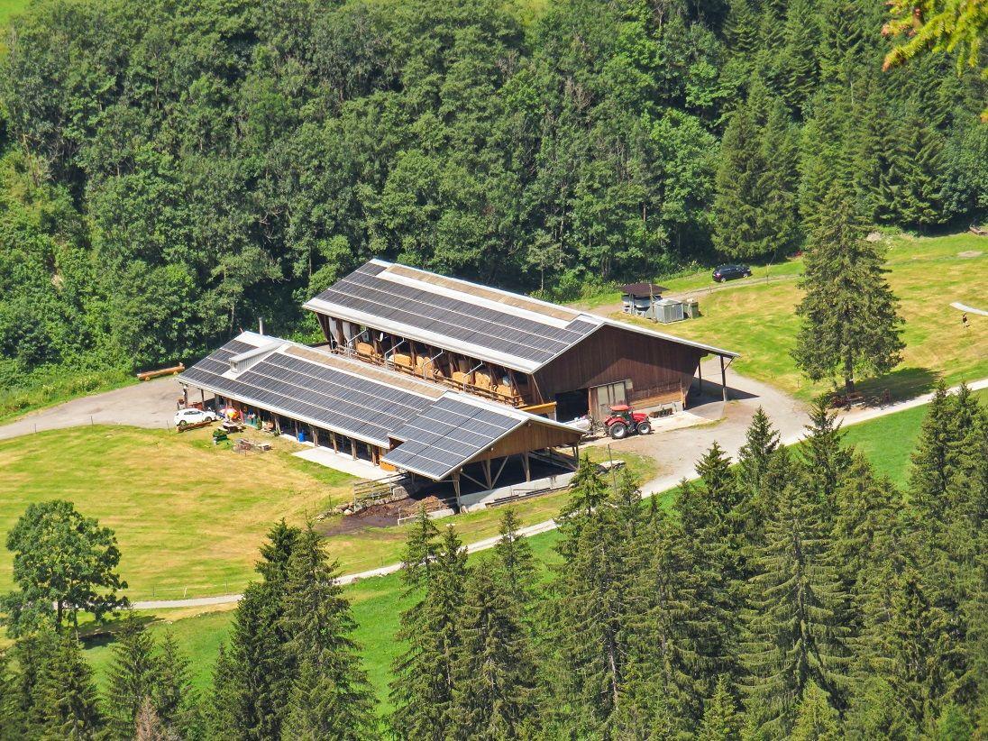 Image 0 - Azienda agricola Alnéid