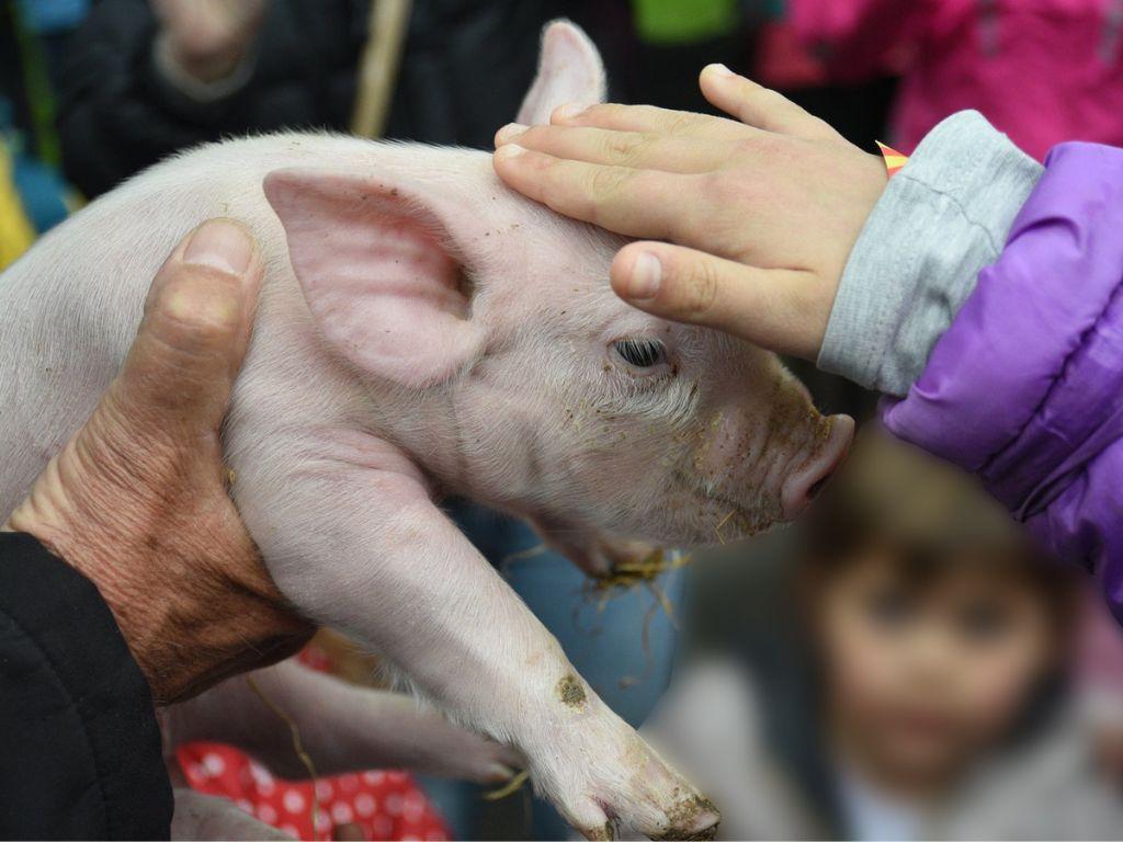 Image 7 - Masseria Ramello