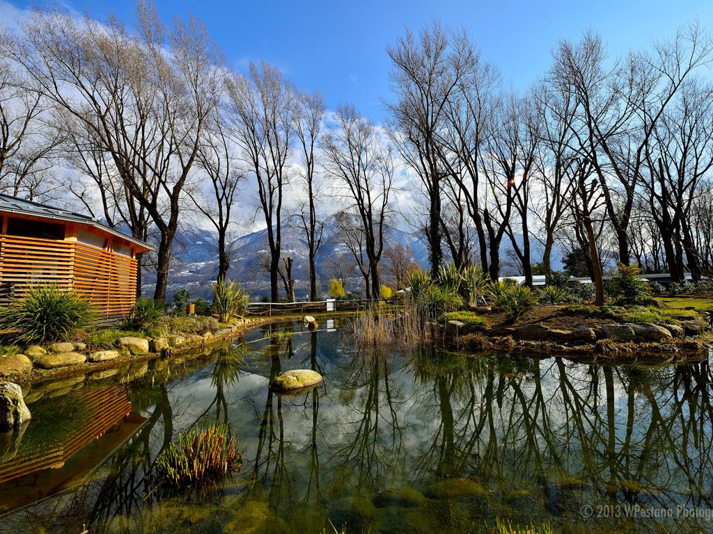 Image 5 - Parco delle Camelie Locarno