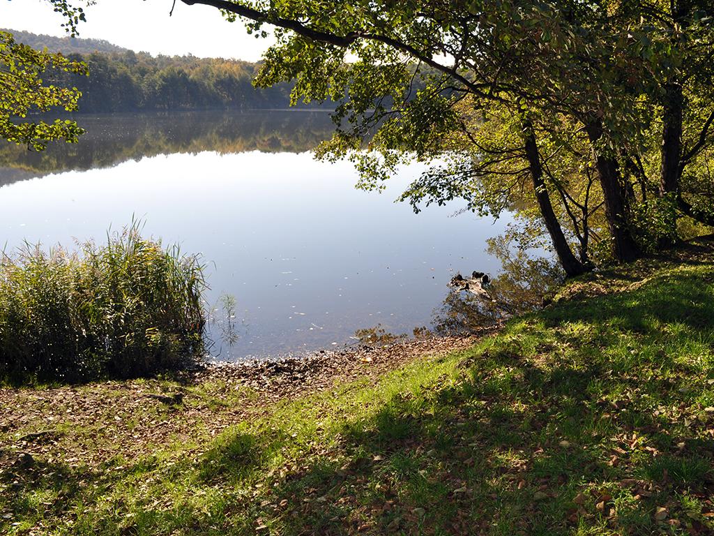 Image 5 - Laghetto di Origlio