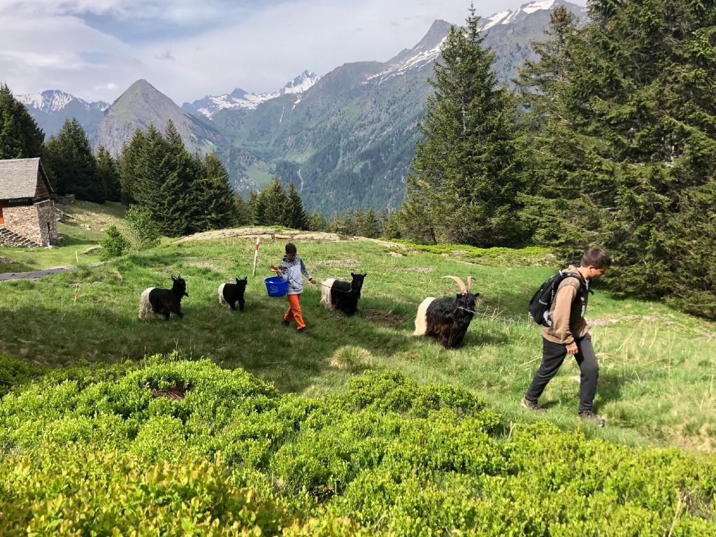 Image 7 - Capanna Gorda