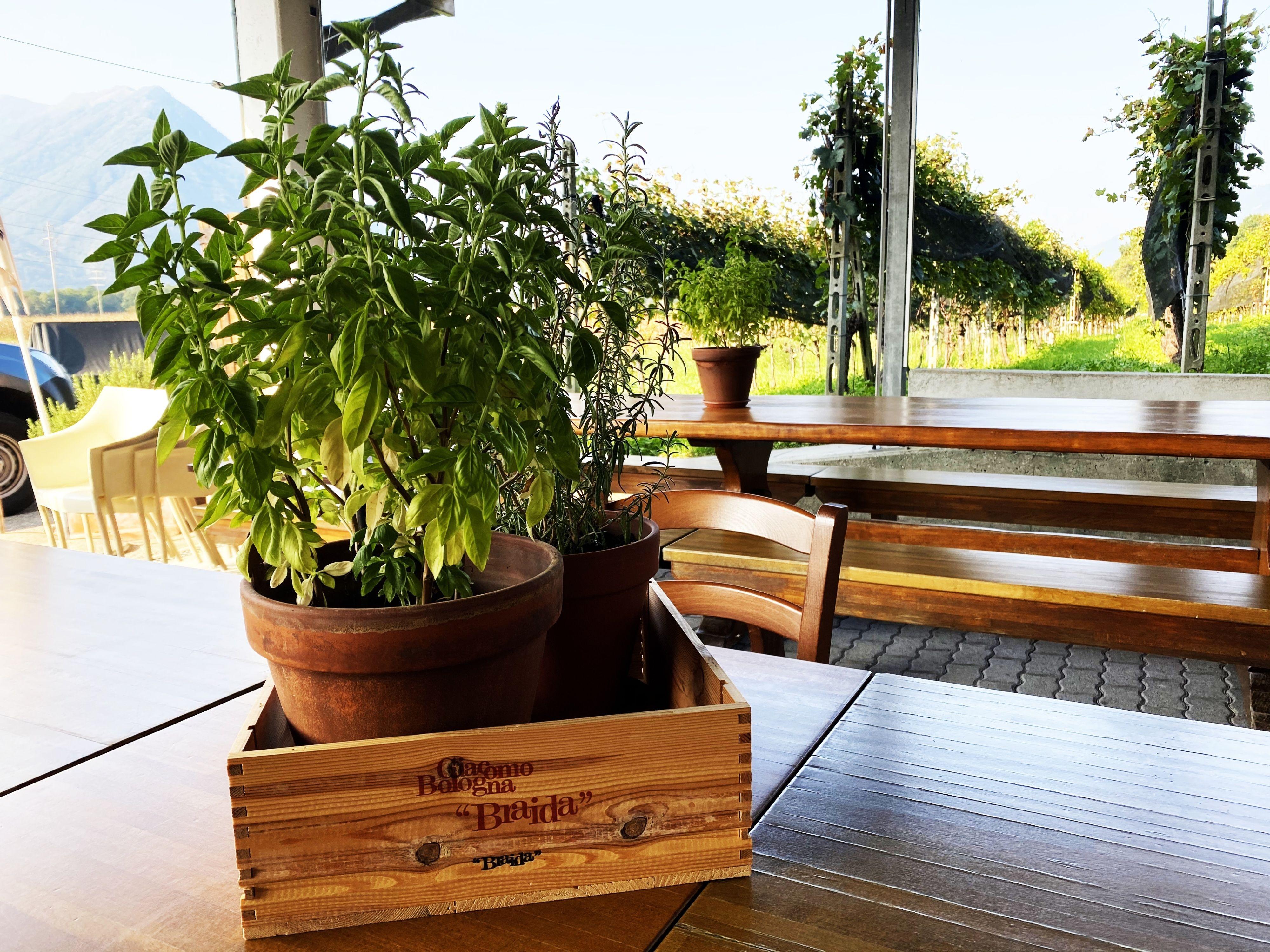 Image 1 - Cave vinicole Pian Marnino