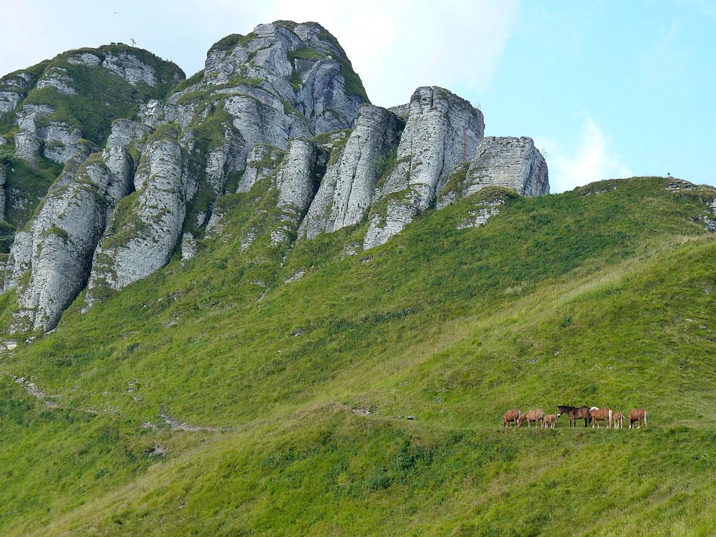 Image 0 - The wild horses of Monte Bisbino