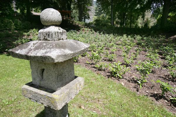 Image 2 - Monte Verità: expériences de vie et d'art