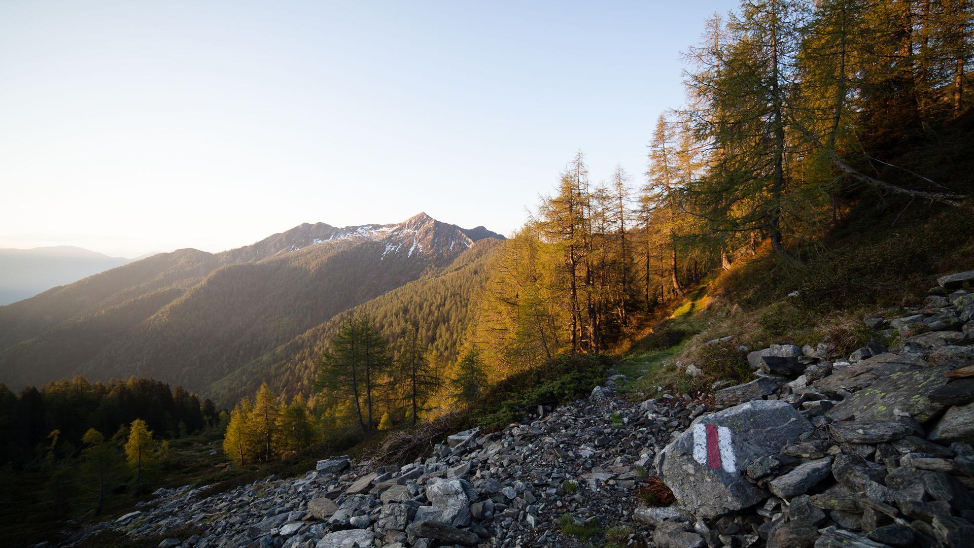 Image 5 - Valle di Lodano Forest Reserve