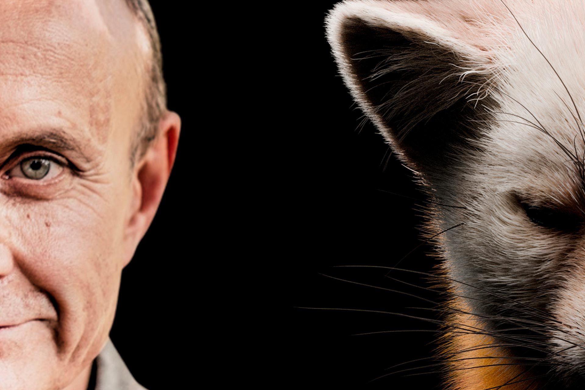 I miei stupidi intenti