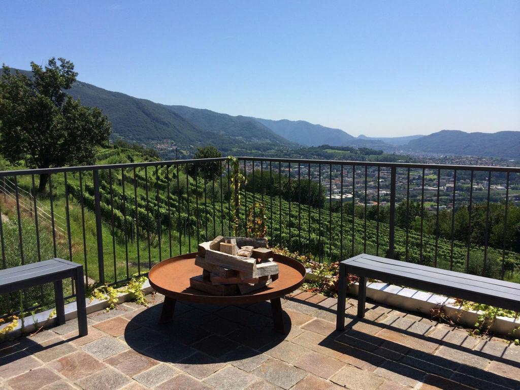 Image 3 - Cantine Latini SA - Azienda viticola