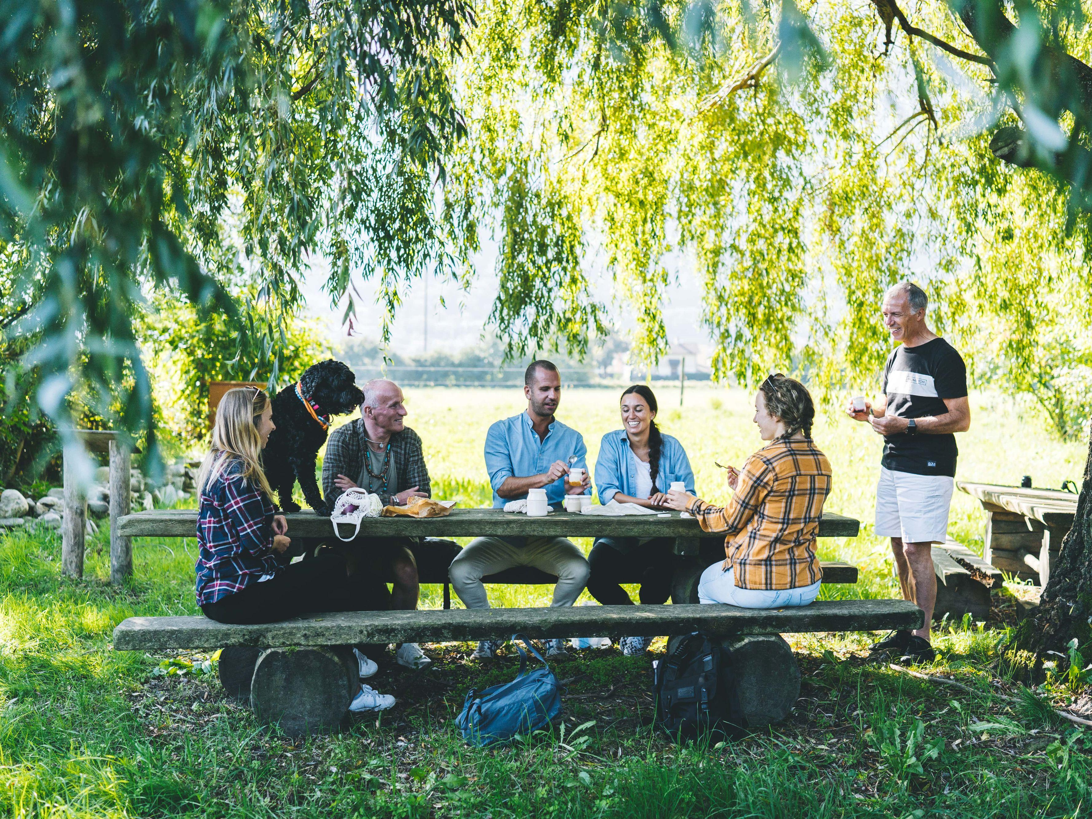 Image 7 - SUSPENDU - La spesa in fattoria
