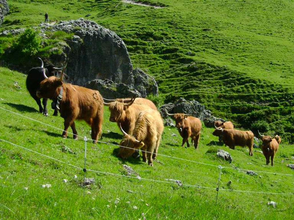 Image 10 - Capanna Pairolo