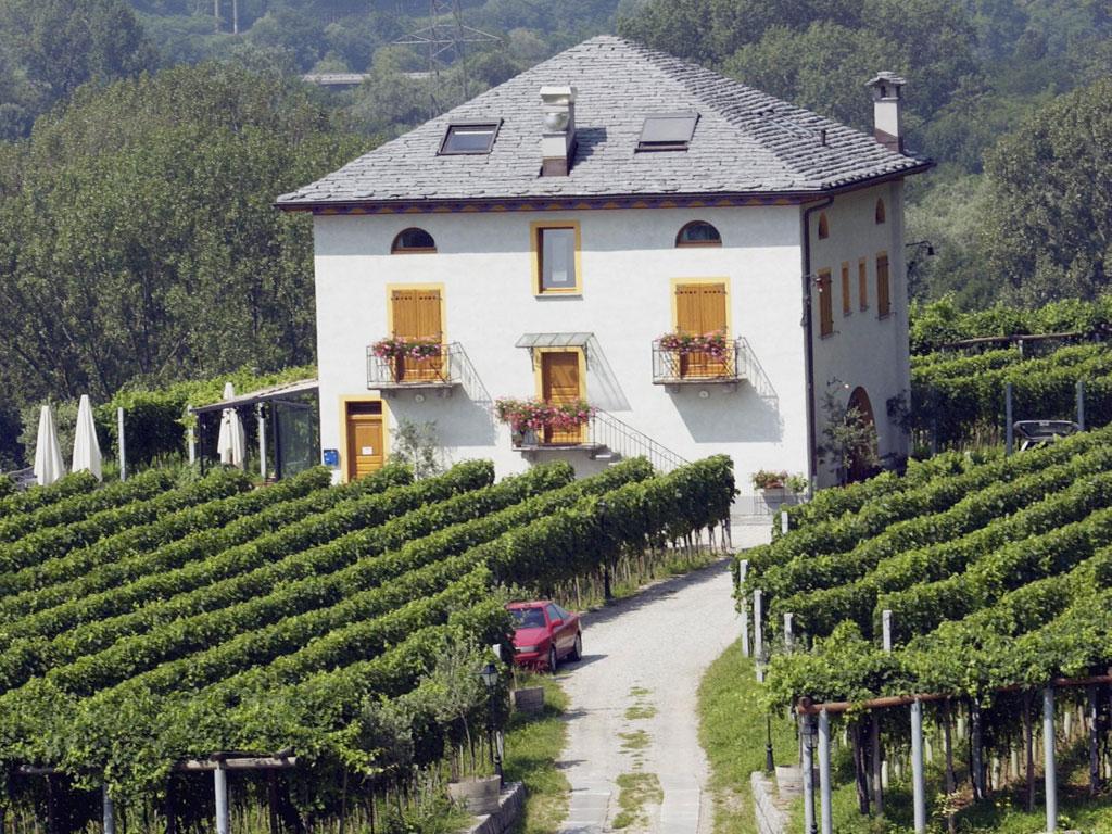 Image 2 - Agriturismo Fattoria l'Amorosa