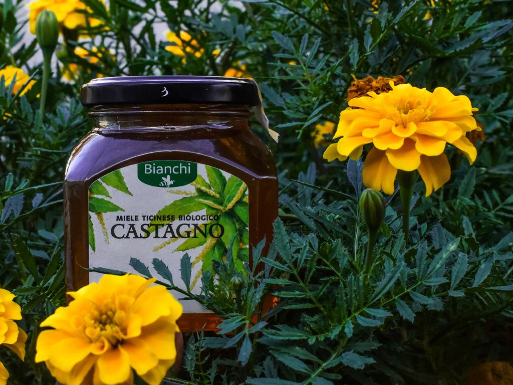 Image 1 - Besuch und Honigverkostung am Bienenstand 