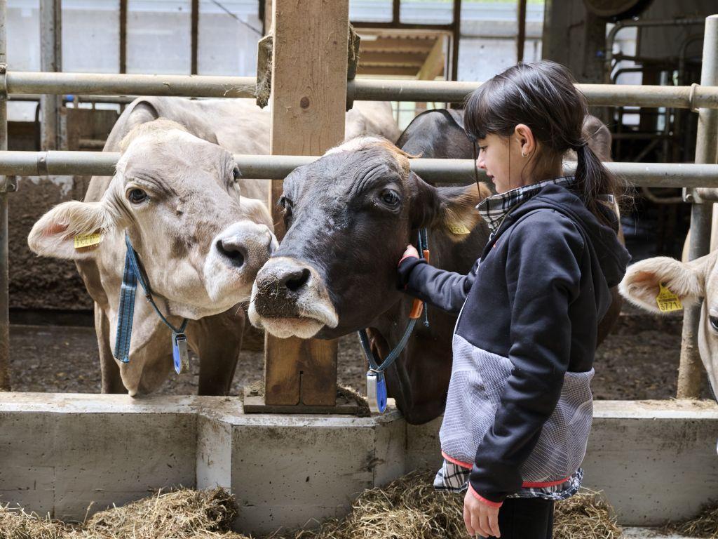 Image 4 - Agriesperienza - Azienda Croce