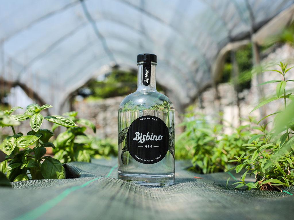 Image 2 - Gin Bisbino Grill Tour