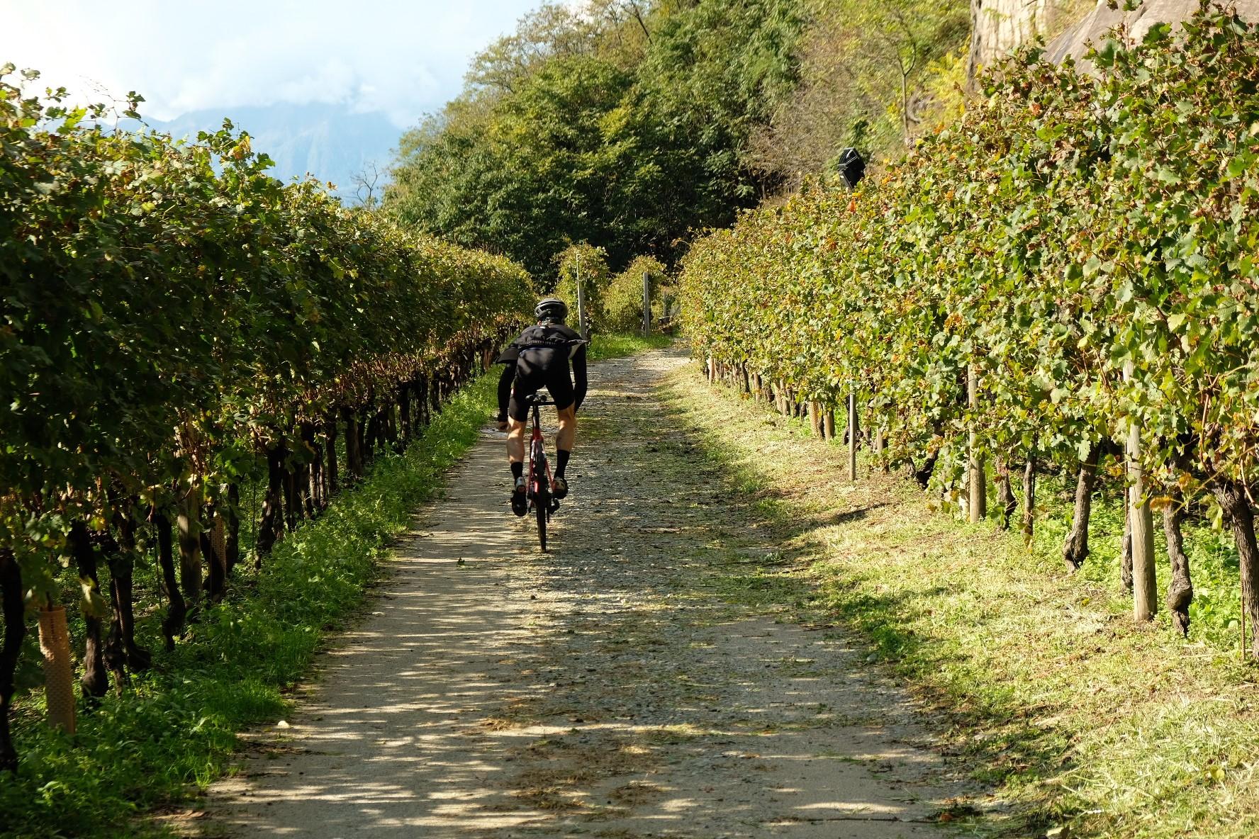 Image 0 - Guided Tour - Velo Café