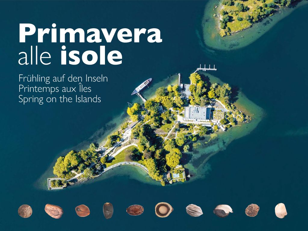 Frühling auf den Inseln