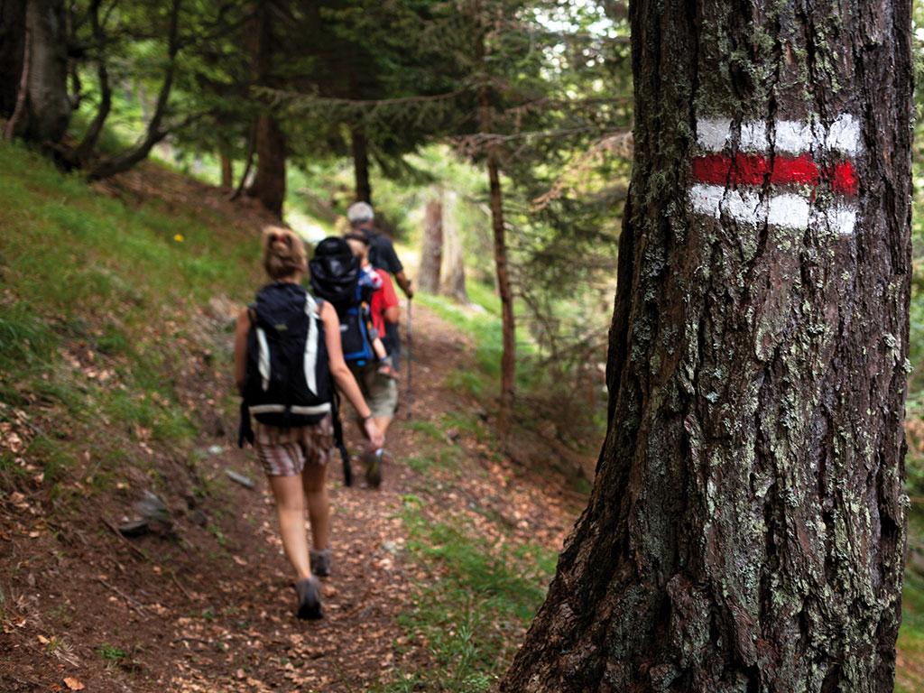 Image 3 - Valle di Lodano Forest Reserve