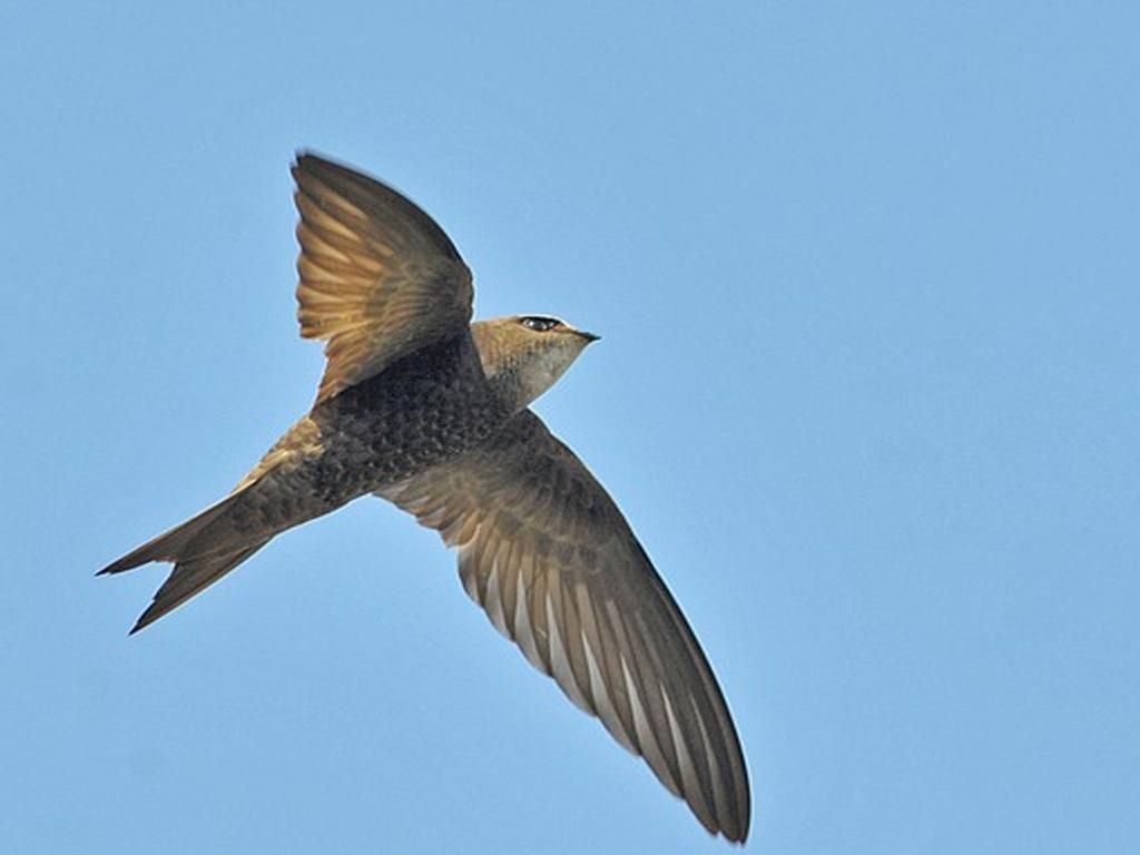 Image 2 - Sentier des martinets