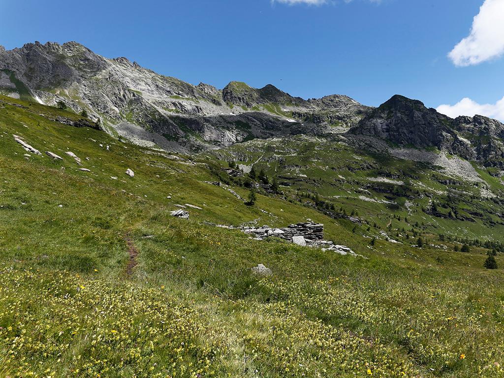 Image 1 - Violino di capra