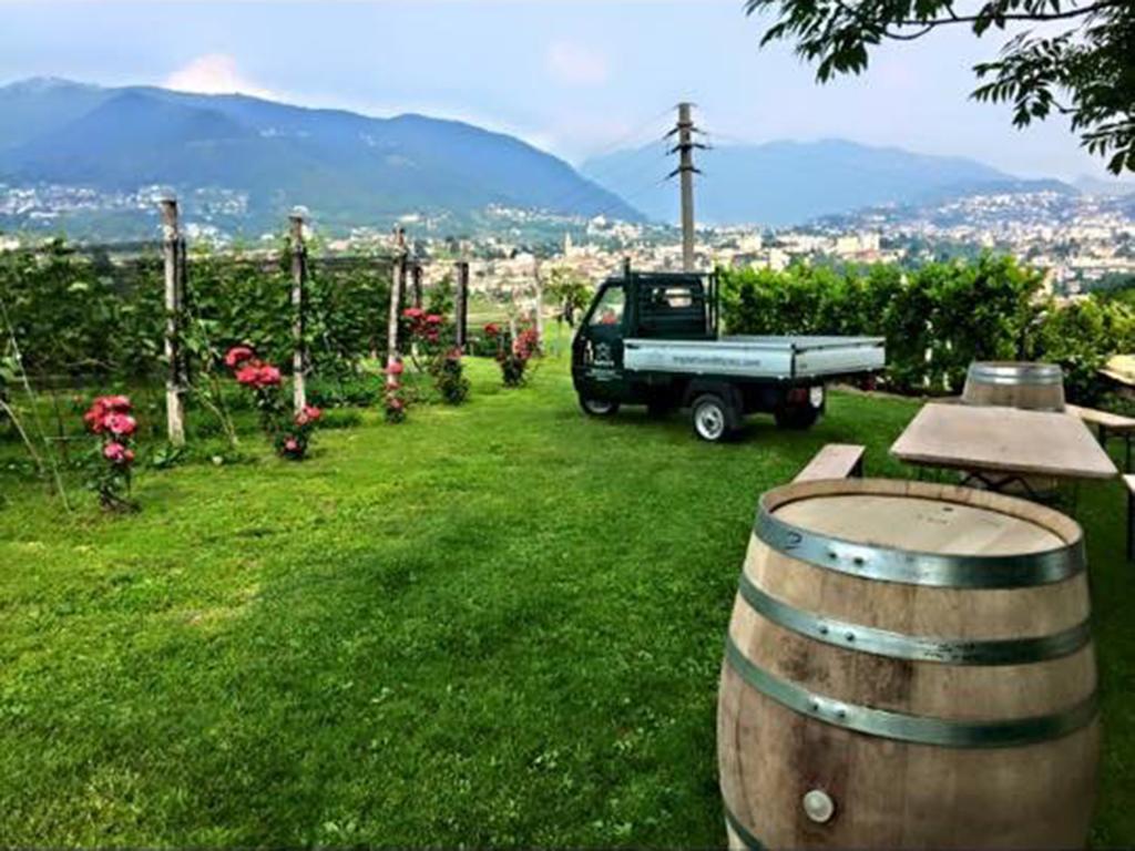 Image 3 - Tenuta Vitivinicola Trapletti SA