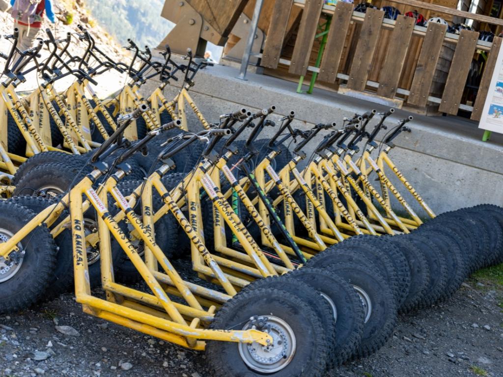 Image 8 - Talfahrt auf dem Monster Roller Bosco Gurin